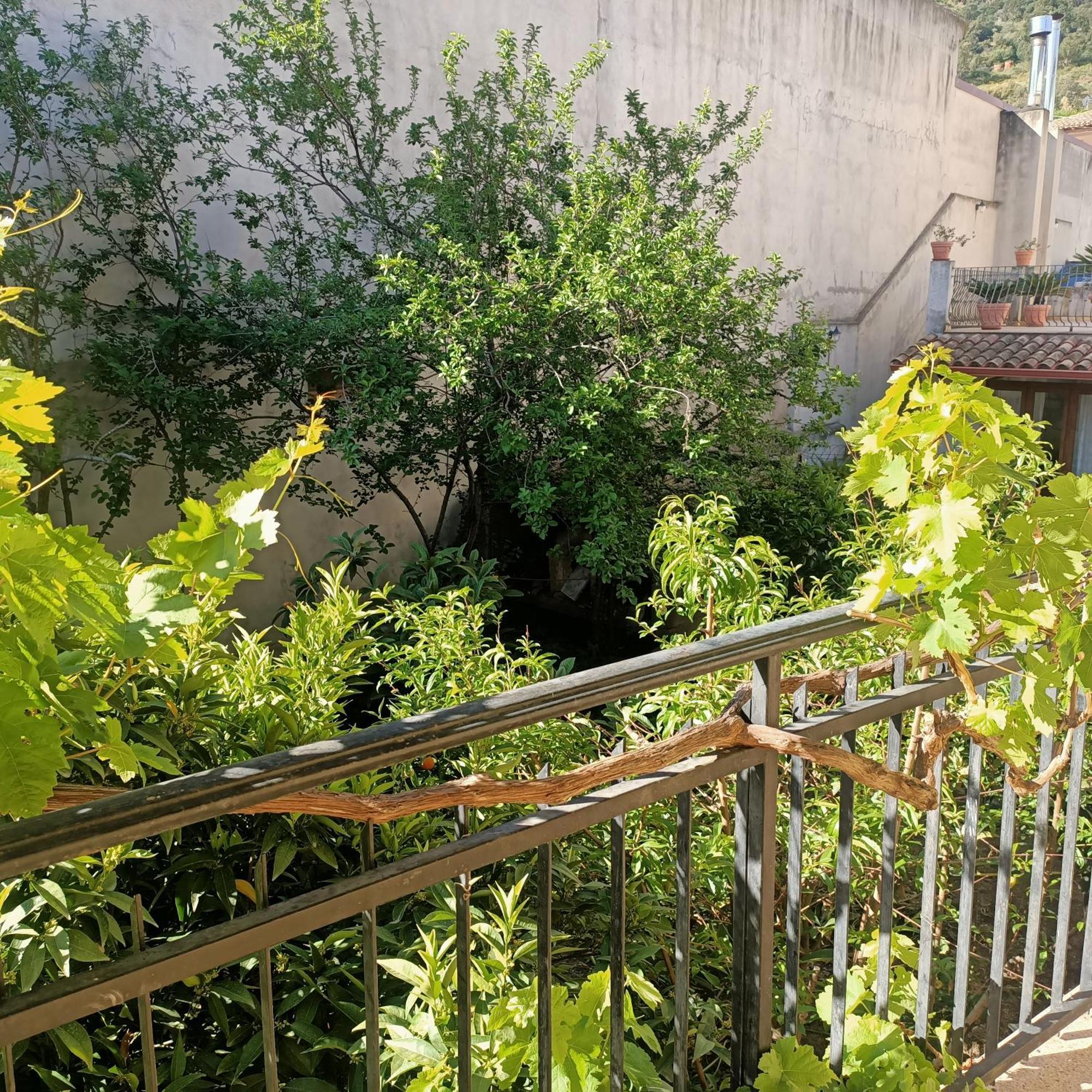 דירות בארי סארדו Janas House מראה חיצוני תמונה