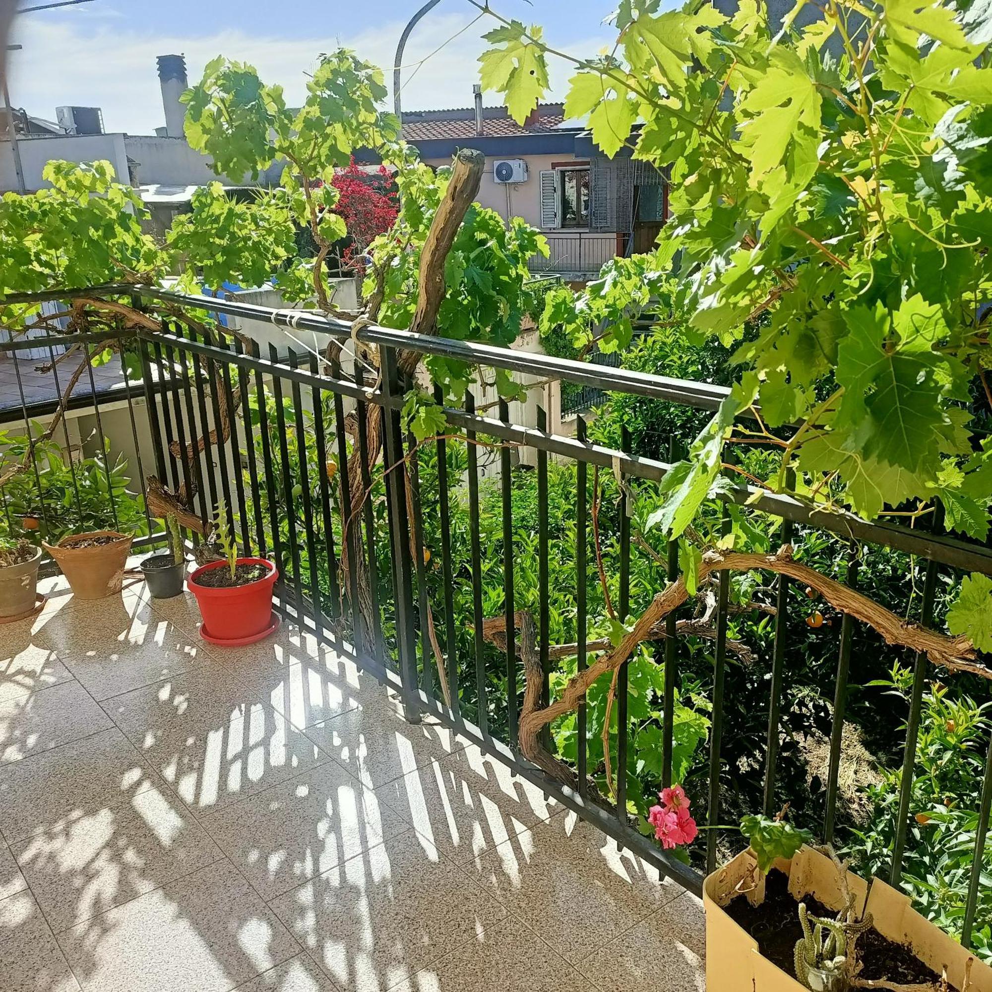 דירות בארי סארדו Janas House מראה חיצוני תמונה