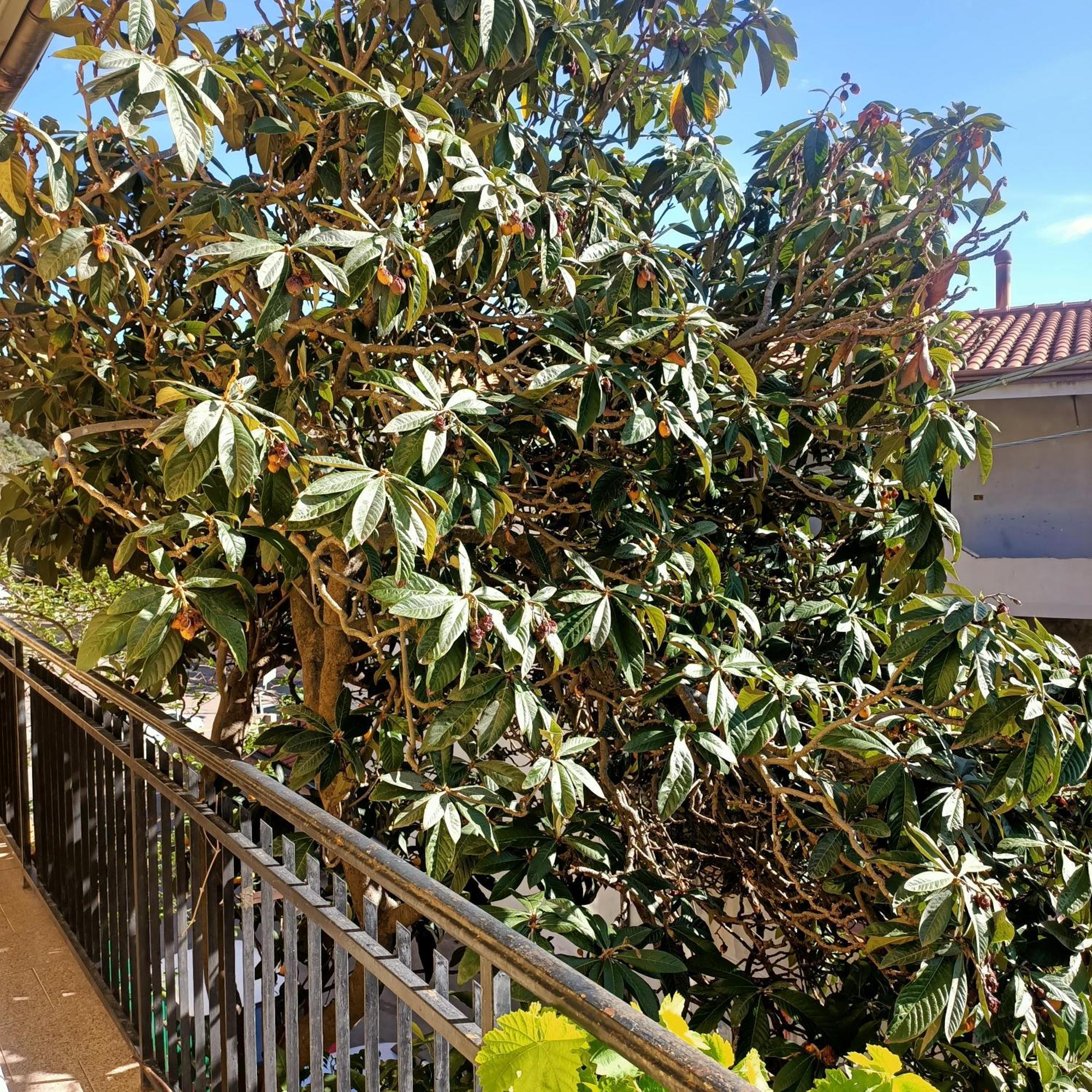 דירות בארי סארדו Janas House מראה חיצוני תמונה